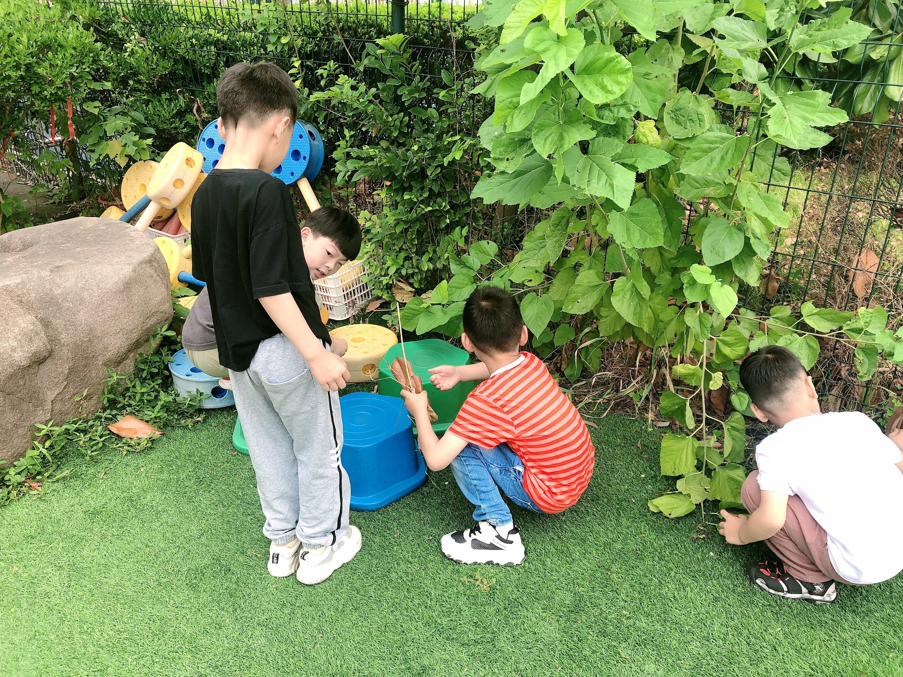“草木藏古韵 染蛋绘端午”端午主题活动举行